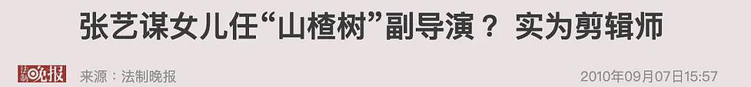 努力提携“四个娃“： 在实现阶层跨越上， 张艺谋原来也是一个很拼的爸爸～（组图） - 77