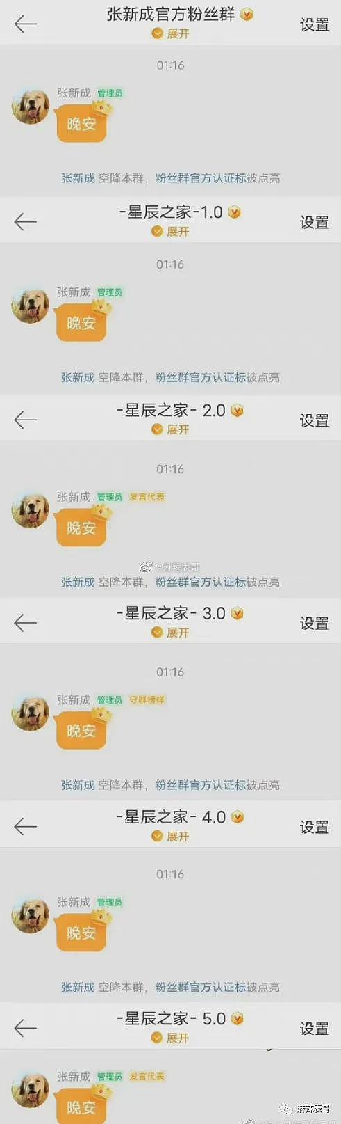 李兰迪和张新成被传结婚了？尊重且祝福才是最好的态度（组图） - 63