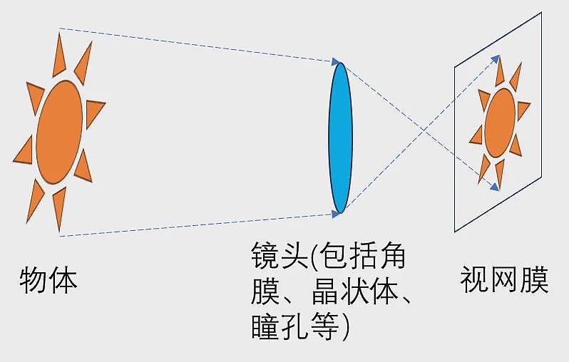 如何识别AI伪造的人像？看眼睛（组图） - 4