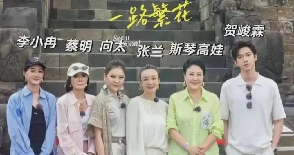 两个女人正面开撕！向太被回怼“块头大屁股粗”，张兰终于松口气（组图） - 11