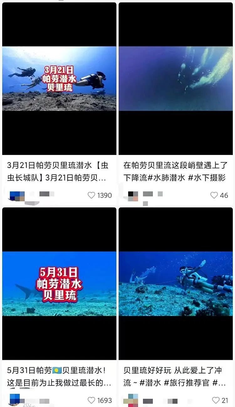 帕劳7中国潜水客失联，当地出动8船1机展开紧急搜救（组图） - 5