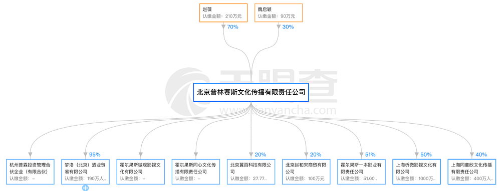 赵薇官宣离婚，背后的水太深了（组图） - 8