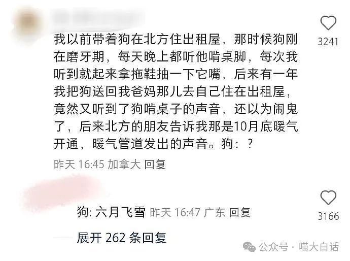 【爆笑】“老公全麻后喊前妻名字？”哈哈哈哈哈评论区是懂安慰的（组图） - 28