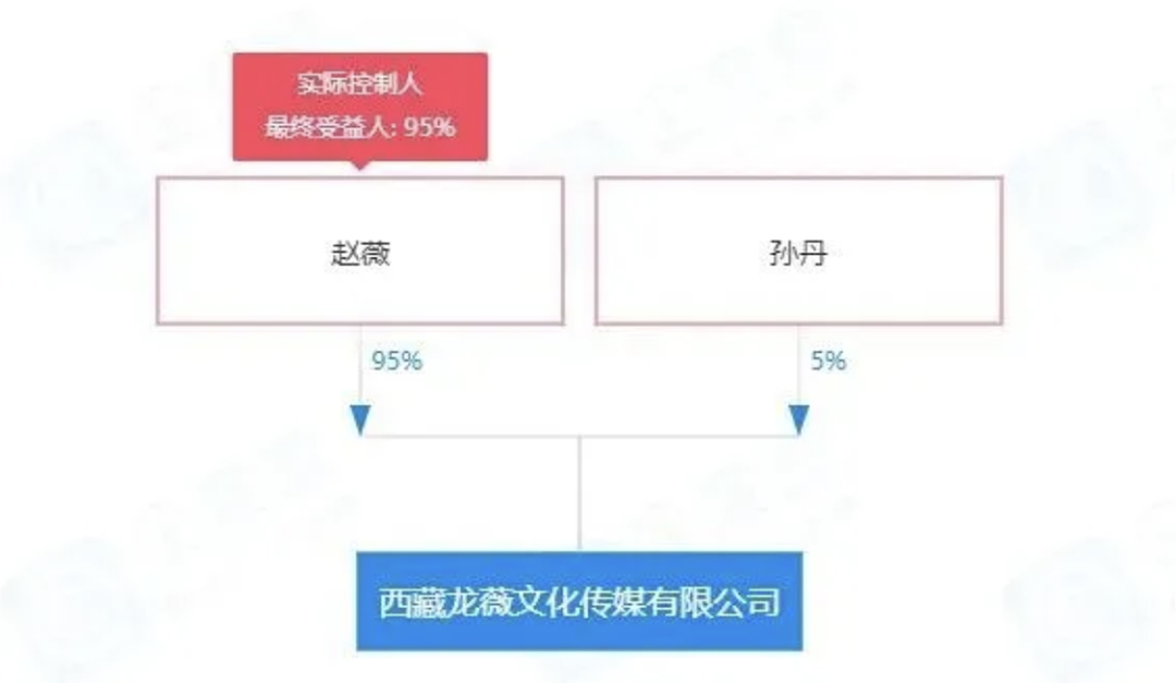 赵薇官宣离婚，背后的水太深了（组图） - 12