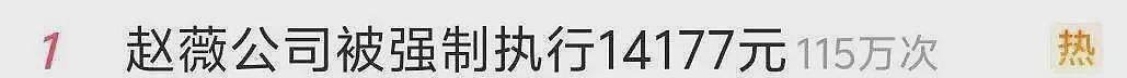 赵薇官宣和黄有龙离婚：任何关于他的事件都与我无关，其多段感情经历被扒（组图） - 14