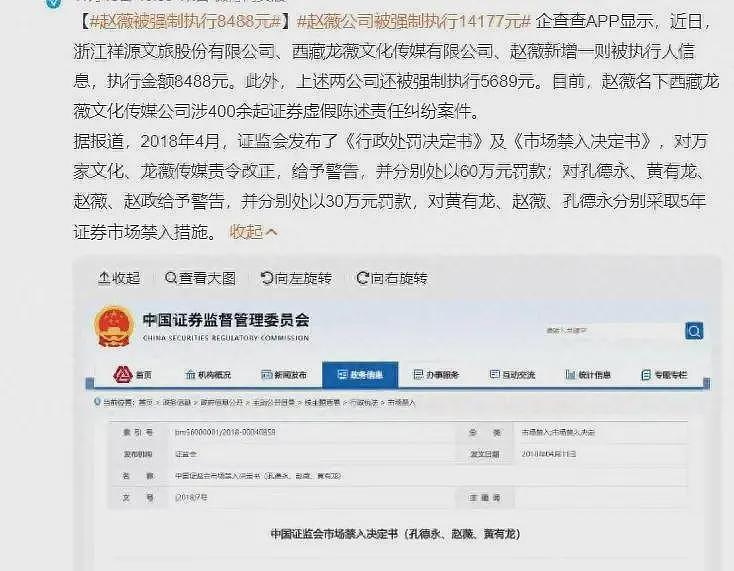 赵薇官宣和黄有龙离婚：任何关于他的事件都与我无关，其多段感情经历被扒（组图） - 15