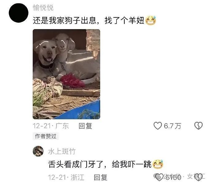 【爆笑】“昆凌的发圈价值39.6万？！”网友傻眼：我头发少都戴不了！（组图） - 13