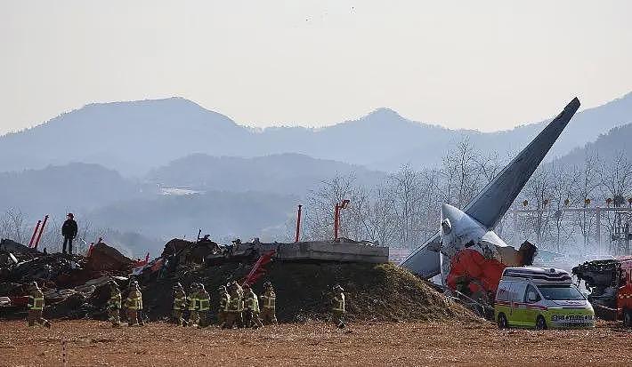 179人遇难、无中国乘客、波音737-800…韩国客机事故原因又是飞鸟撞击？（组图） - 4