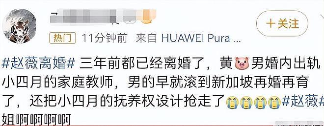 赵薇离婚更多内幕曝光！曝黄有龙婚内出轨家庭教师，还夺走了女儿抚养权（组图） - 5