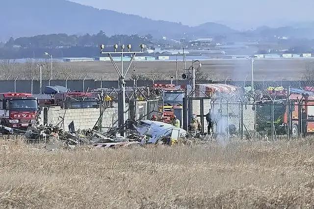 韩国客机失事，资深机长解读：航班起降驱鸟很重要，机场跑道设计或有缺陷（组图） - 4