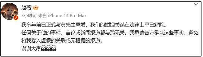 曝赵薇离婚原因：给前夫和姐姐做担保连累，想离婚被男方拖了两年（组图） - 3