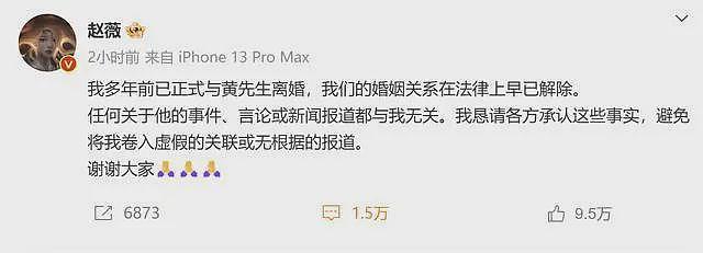 赵薇发文暗示技术性离婚，巅峰时资产45亿，拥有私人飞机和酒庄（组图） - 2