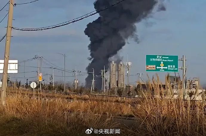 179人遇难！韩国客机爆炸起火，撞鸟和迫降视频曝光！涉事机型为波音737，崔相穆宣布全国哀悼7天（视频/组图） - 24