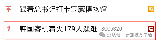 幸存者亲述事发经过、黑匣子已找到、179人遇难... 韩国客机着火空难更多细节曝光（组图） - 8