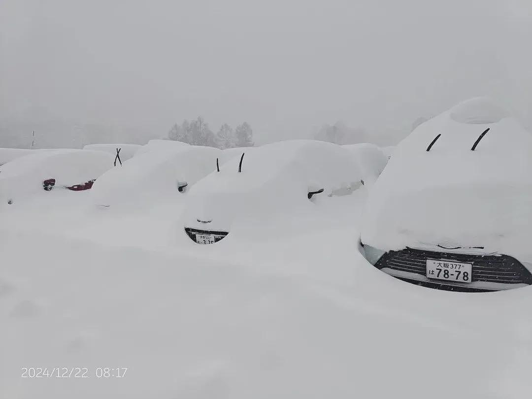 中国游客滑雪窒息身亡，粉雪有多险（组图） - 3