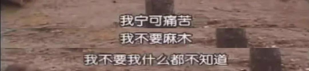 【情感】22年前向央视求救，说出“惊世之言”的陕西农妇回来了！治好了无数人的精神内耗（组图） - 4