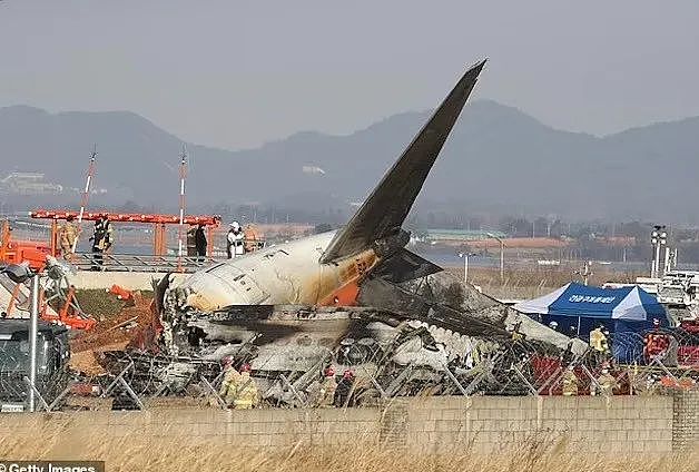 韩国空难乘客最后短信曝光：机翼上卡只鸟！然而种种矛盾迹象，是天灾还是人祸？（组图） - 1