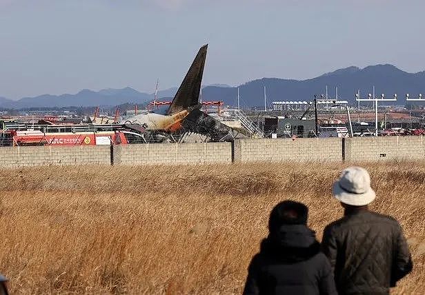 韩国空难乘客最后短信曝光：机翼上卡只鸟！然而种种矛盾迹象，是天灾还是人祸？（组图） - 15