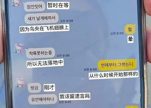 韩国空难乘客发的短信“妈妈我爱你”成遗言，偏偏跑道尽头有堵墙（组图） - 4