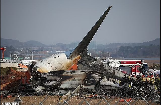 179人遇难，韩国重大空难，鸟击预警6分钟后班机撞墙爆炸！多国专家质疑本可避免...（组图） - 7