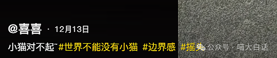 【爆笑】“抠搜男票硬凹霸总人设？”啊啊啊啊啊这X是非装不可吗（组图） - 42