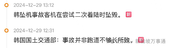 幸存者亲述事发经过、黑匣子已找到、179人遇难... 韩国客机着火空难更多细节曝光（组图） - 13