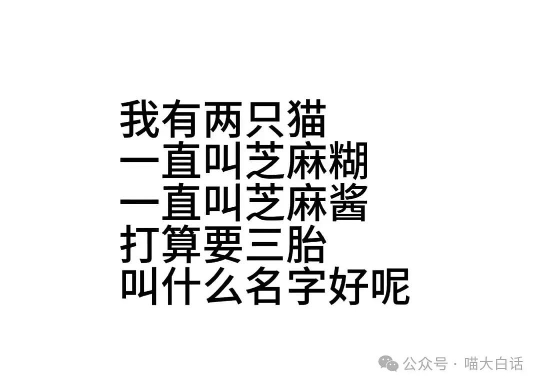 【爆笑】“背着房东偷偷养猫后......”啊啊啊啊啊看得人哈特软软（组图） - 80