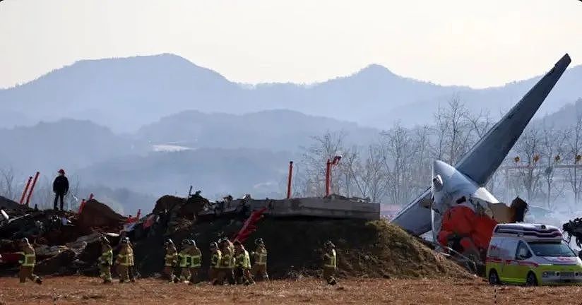 韩国空难乘客最后短信曝光：机翼上卡只鸟！然而种种矛盾迹象，是天灾还是人祸？（组图） - 8