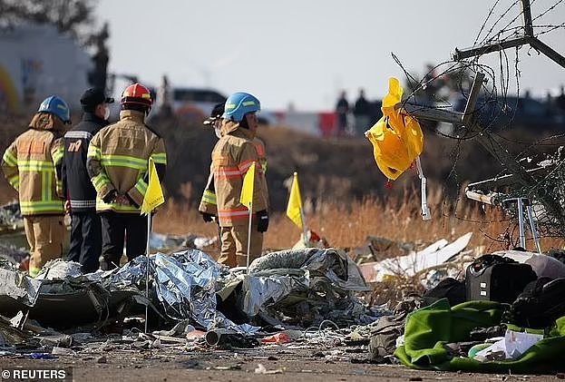 179人遇难，韩国重大空难，鸟击预警6分钟后班机撞墙爆炸！多国专家质疑本可避免...（组图） - 9