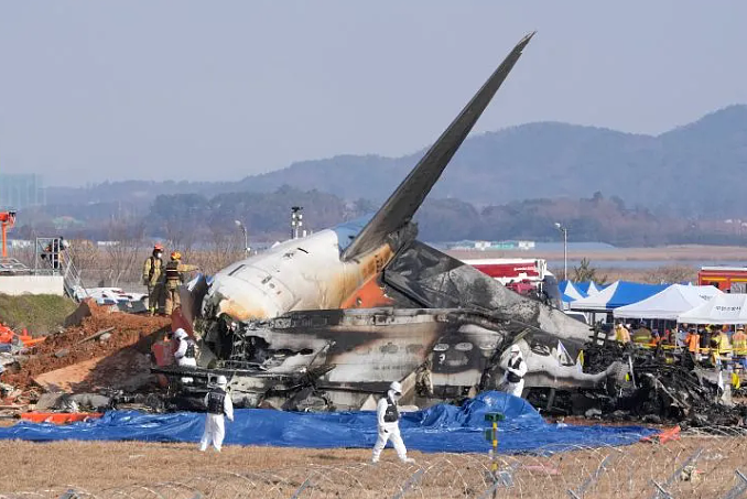 加拿大客机着陆喷火，乘客几乎绝望！1天内4起航空事故，已致180人遇难（视频/组图） - 8