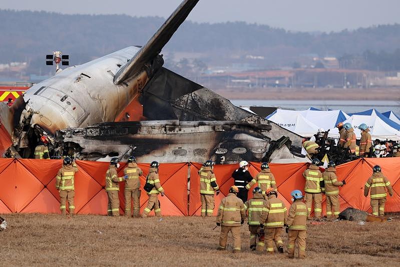 济州航空客机因鸟击失事？澳洲专家持怀疑态度（图） - 1