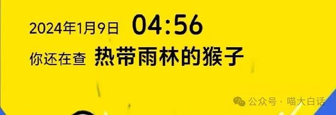 【爆笑】“背着房东偷偷养猫后......”啊啊啊啊啊看得人哈特软软（组图） - 26