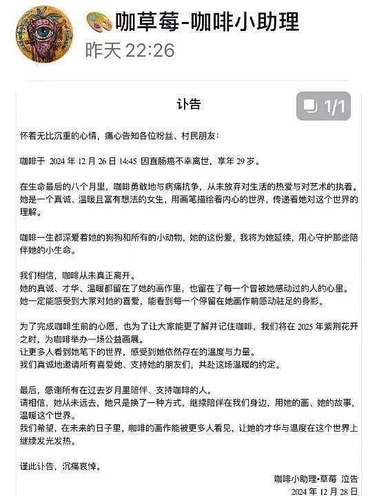 29岁美女网红画家传死讯！放弃治疗曾言：身体无法承受再次失败（组图） - 10