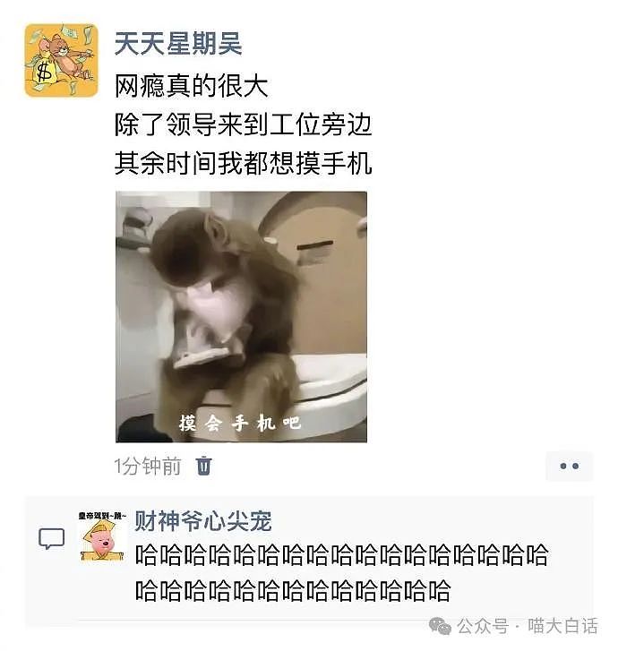 【爆笑】“背着房东偷偷养猫后......”啊啊啊啊啊看得人哈特软软（组图） - 98