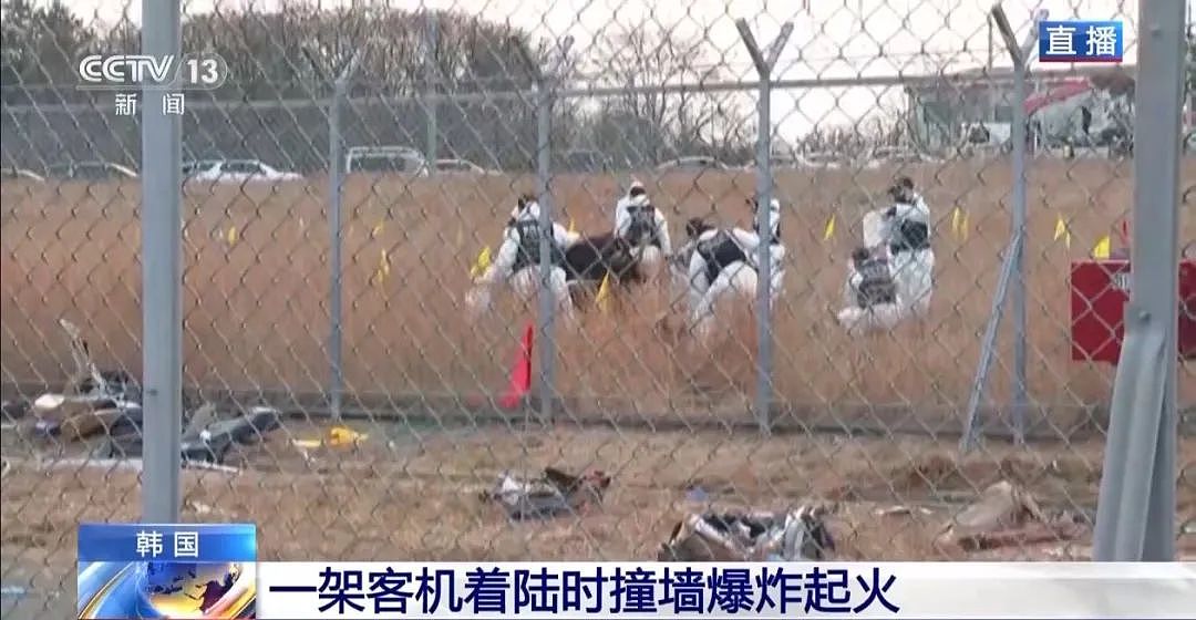 空难中一家四口身亡！幸存者：坐在机尾，当时做了这件事！24小时内，两架同型号飞机发生事故（组图） - 9