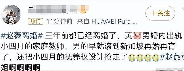 赵薇离婚后续：大粉曝更多离婚内幕，被男方榨干最后价值才离婚（组图） - 14