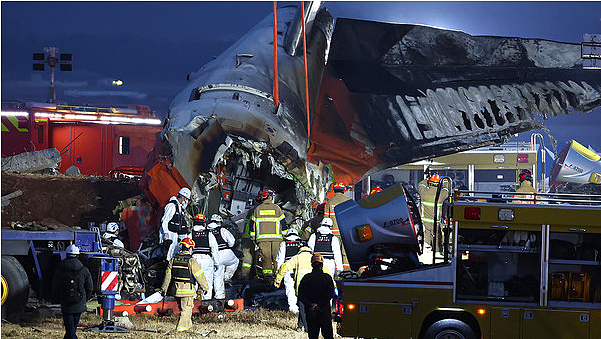 今年航空最悲惨的一天！客机爆炸179人死，2天前引擎空中多次熄火，空姐说没事（组图） - 11