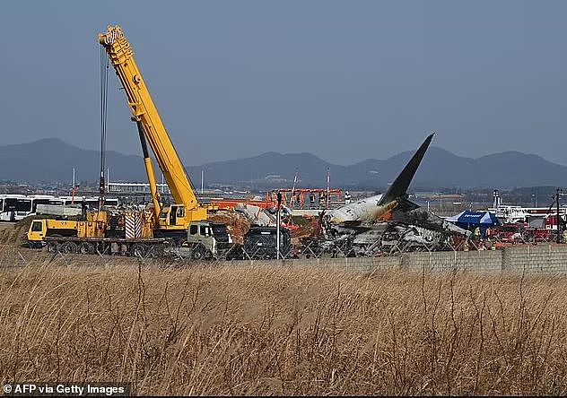 179人遇难，韩国重大空难，鸟击预警6分钟后班机撞墙爆炸！多国专家质疑本可避免...（组图） - 12