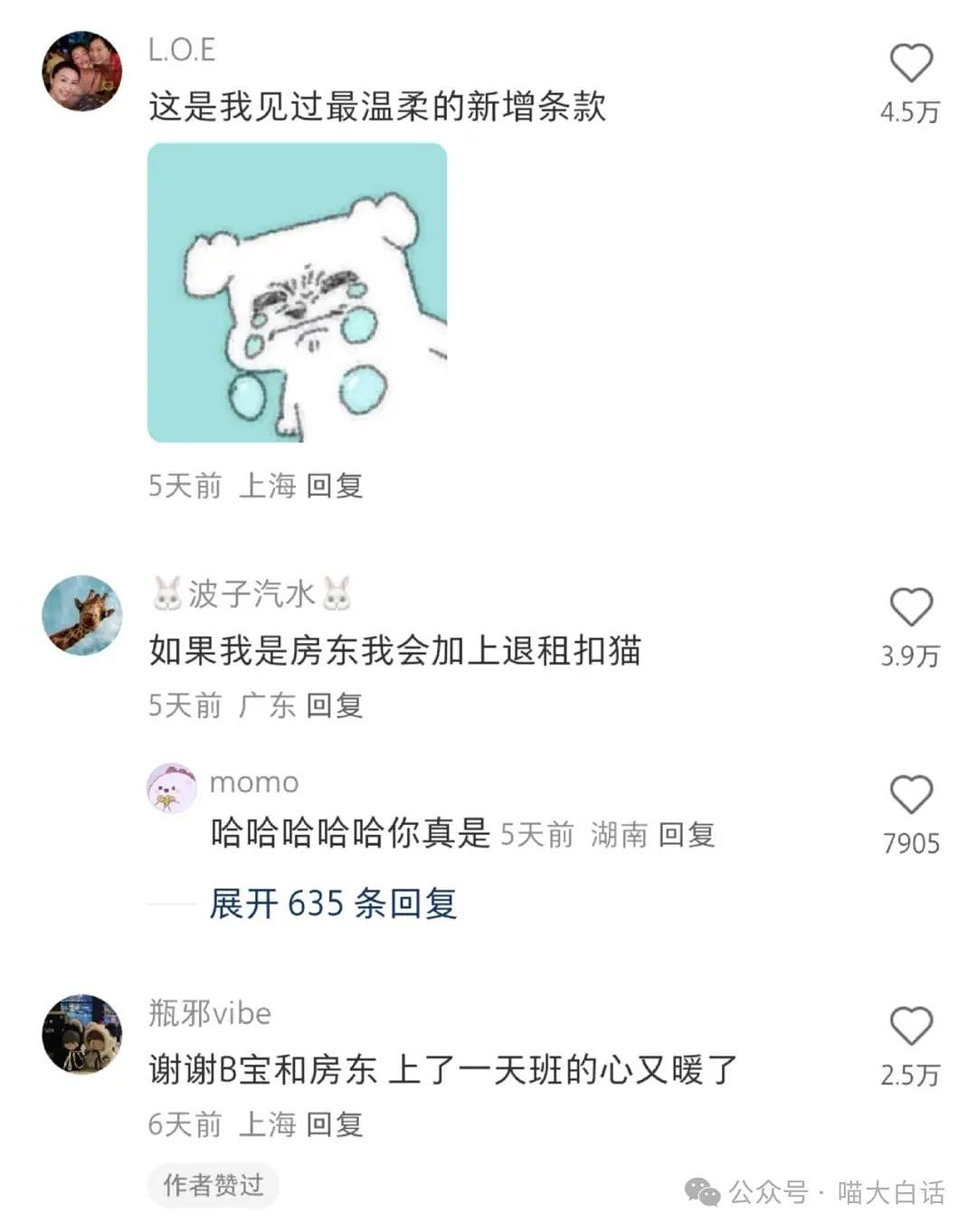 【爆笑】“背着房东偷偷养猫后......”啊啊啊啊啊看得人哈特软软（组图） - 4