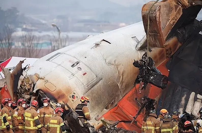 韩国空难乘客最后短信曝光：机翼上卡只鸟！然而种种矛盾迹象，是天灾还是人祸？（组图） - 14