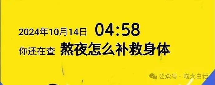 【爆笑】“背着房东偷偷养猫后......”啊啊啊啊啊看得人哈特软软（组图） - 32