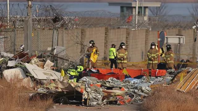 韩国济州航空空难是否与鸟击有关？航空专家指鸟击本身通常难以导致飞机失事（组图） - 5