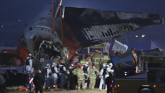 韩国济州航空空难是否与鸟击有关？航空专家指鸟击本身通常难以导致飞机失事（组图） - 2