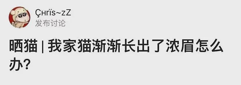 【宠物】巴掌大的小猫撞脸李荣浩，养了一年后长成杨丞琳？网友点开爆笑：离谱到亲妈都不敢认啊（组图） - 34