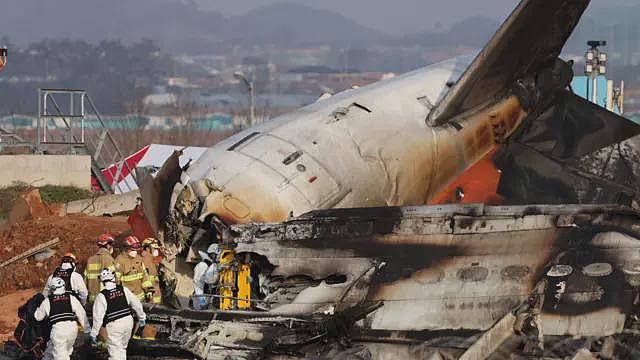 韩国济州航空空难是否与鸟击有关？航空专家指鸟击本身通常难以导致飞机失事（组图） - 4