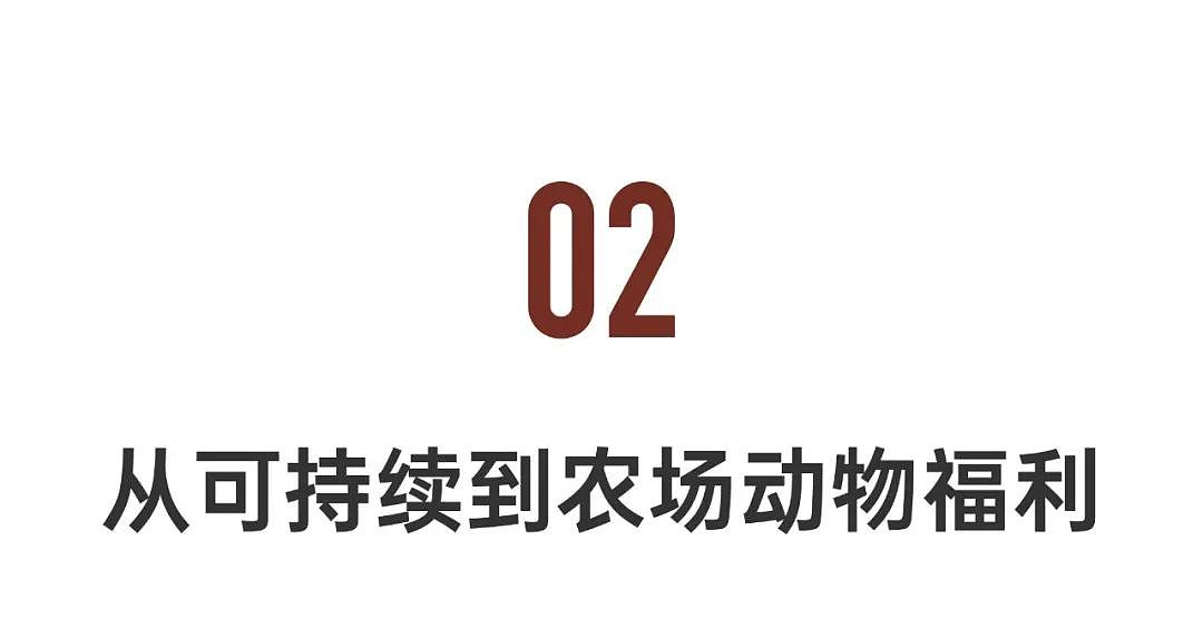 95后女孩极简生活7年：口红、浴巾都是二手的（组图） - 13