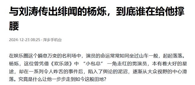 不顾央视警告顶风作案，与刘涛传出绯闻的杨烁，到底谁在给他撑腰（组图） - 12