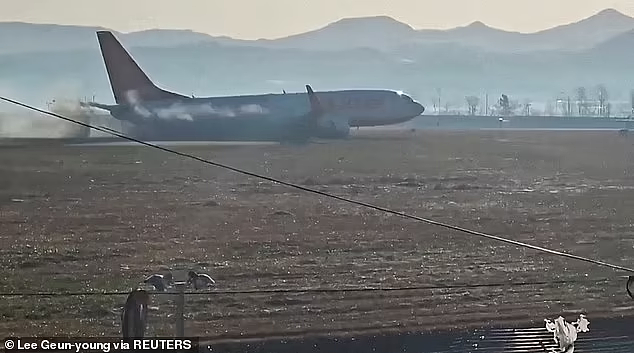 航空专家称韩国坠机本可181人全部获救，但...（组图） - 6