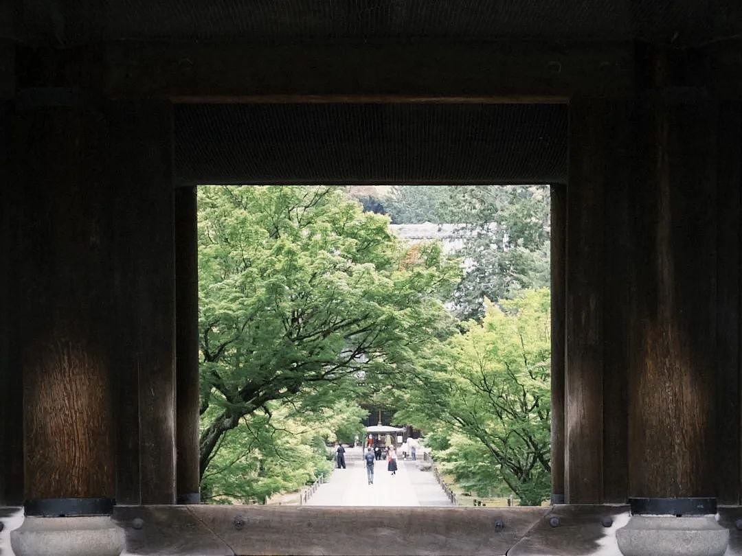 悉尼华人女孩2024年年末收到了本科完成信！因为活了这么几个瞬间，我们有勇气走进2025（组图） - 39