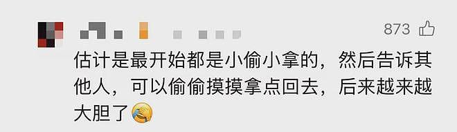 超市倒闭，老板查后惊呆！“半年鸡蛋就丢6吨”，网友：雇了一个盗窃团伙？（组图） - 4